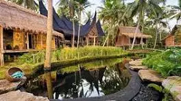 تور اندونزی